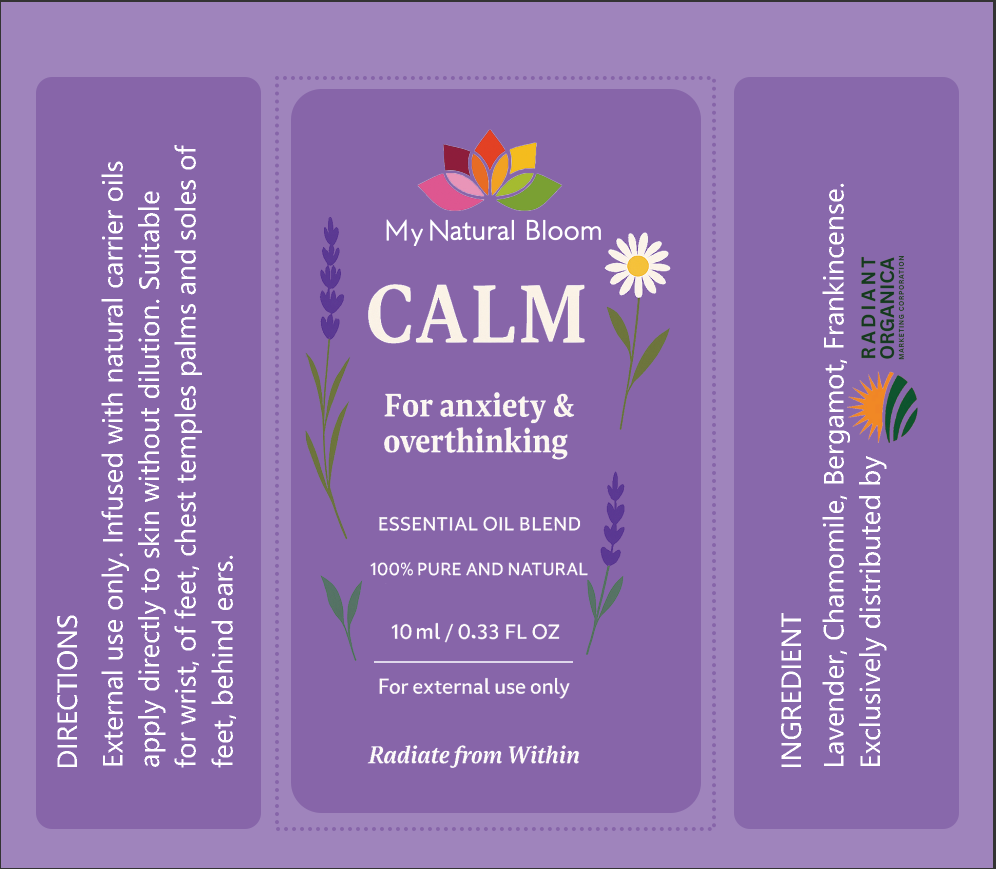 Mind and Body Wellness Kit