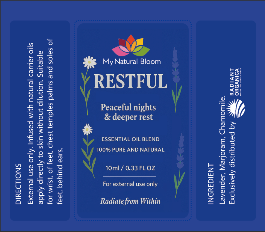 Mind and Body Wellness Kit