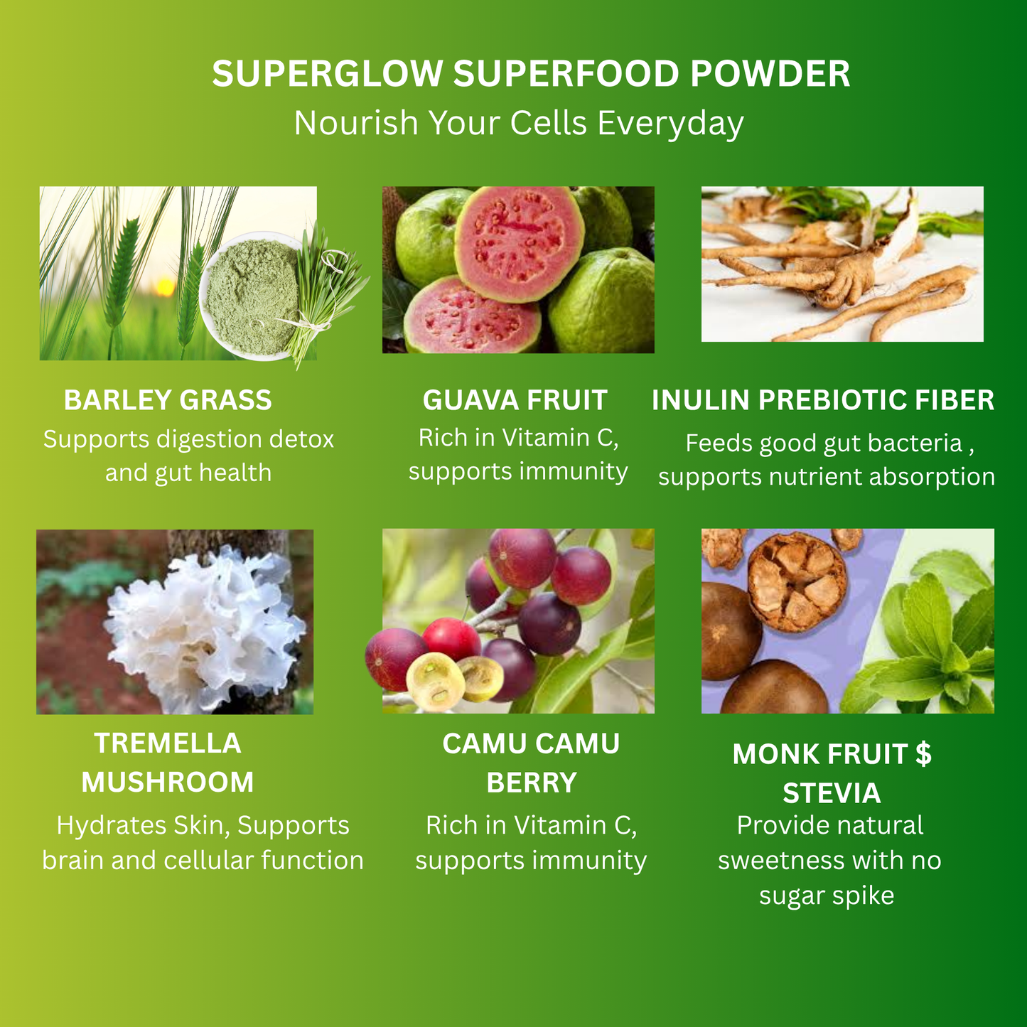 SUPERGLOW SUPERFOOD POWDER DRINK